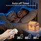 🎁Treasure Chest Projector Night Light✨