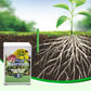 Slow-Release Plant Fertilizer Sticks